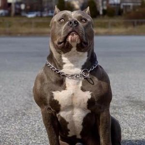 Meet your Posher, Derek